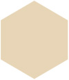 RAL 1019 RAL 1019