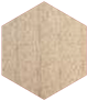 WHITE MAPLE WHITE MAPLE